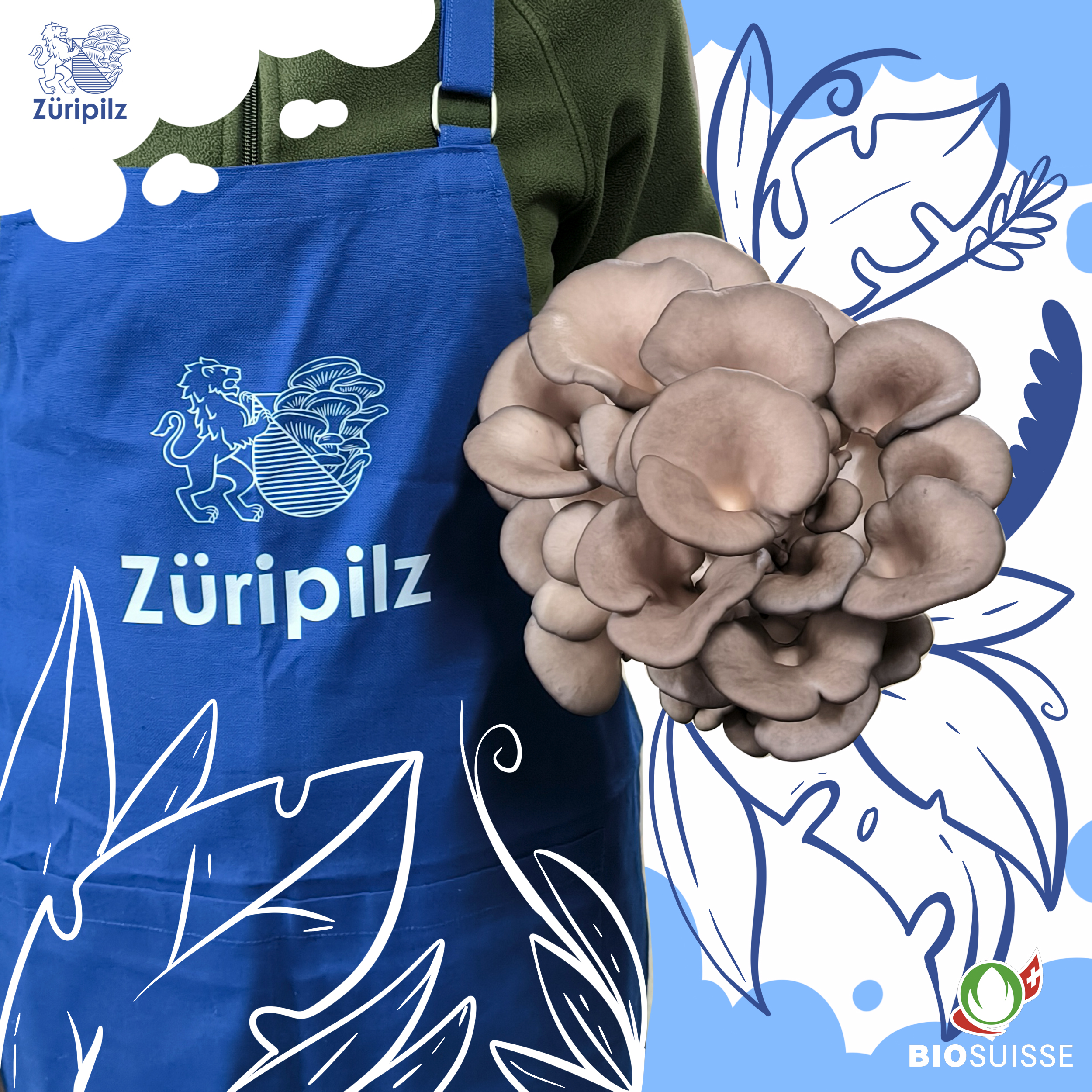 Unser Austernseitling begeistert mit feinem Geschmack und zarter Textur. Perfekt für jede Küche – egal ob als Beilage, Hauptgericht oder vegane Alternative. Direkt aus unserer Zürcher Pilzzucht!
