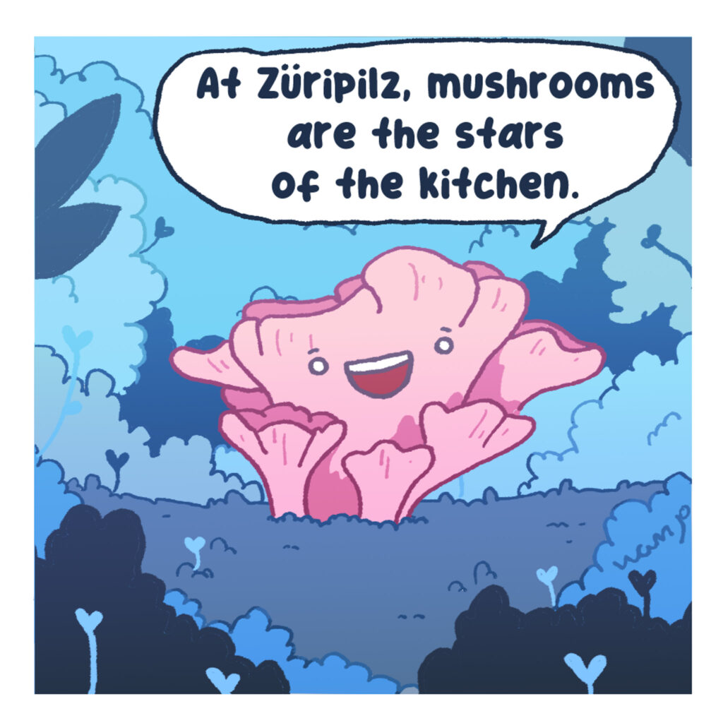 Wissen teilen, Begeisterung wecken – das ist Bildung für uns Comic-Panel zeigt den Züripilz triumphierend, wie er verkündet: "Denn bei Züripilz gibt es die besten Pilze, die Stars der Küche".
