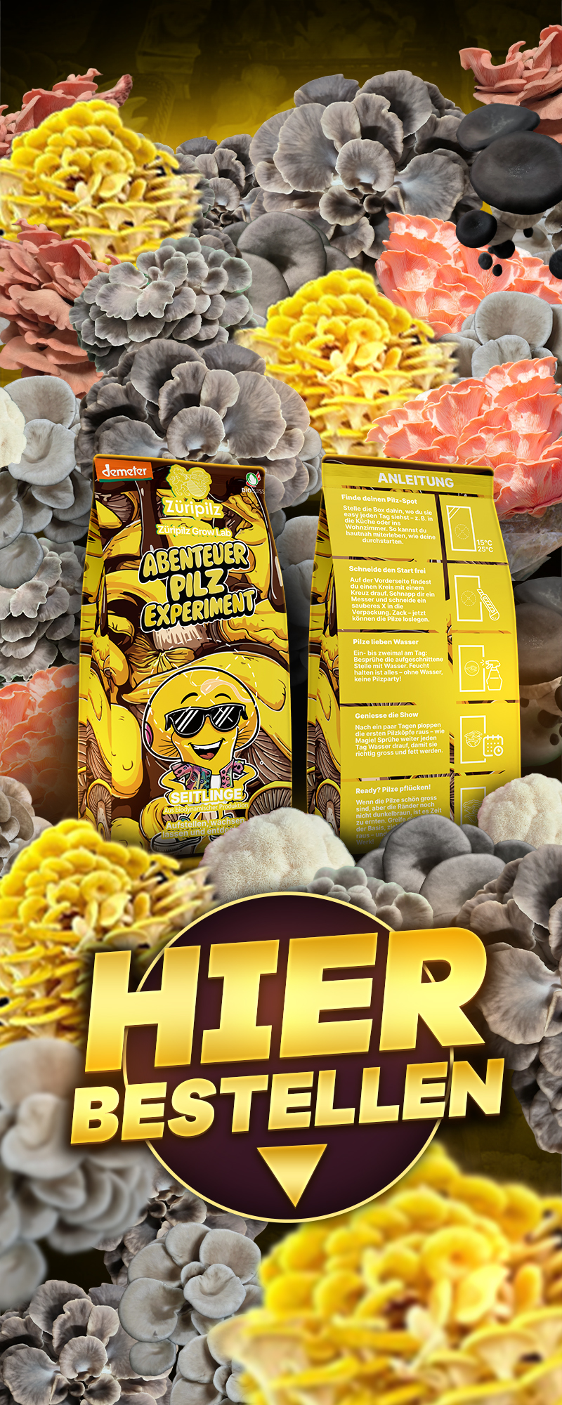 Jetzt Bestellen - Abenteuer Pilzbox