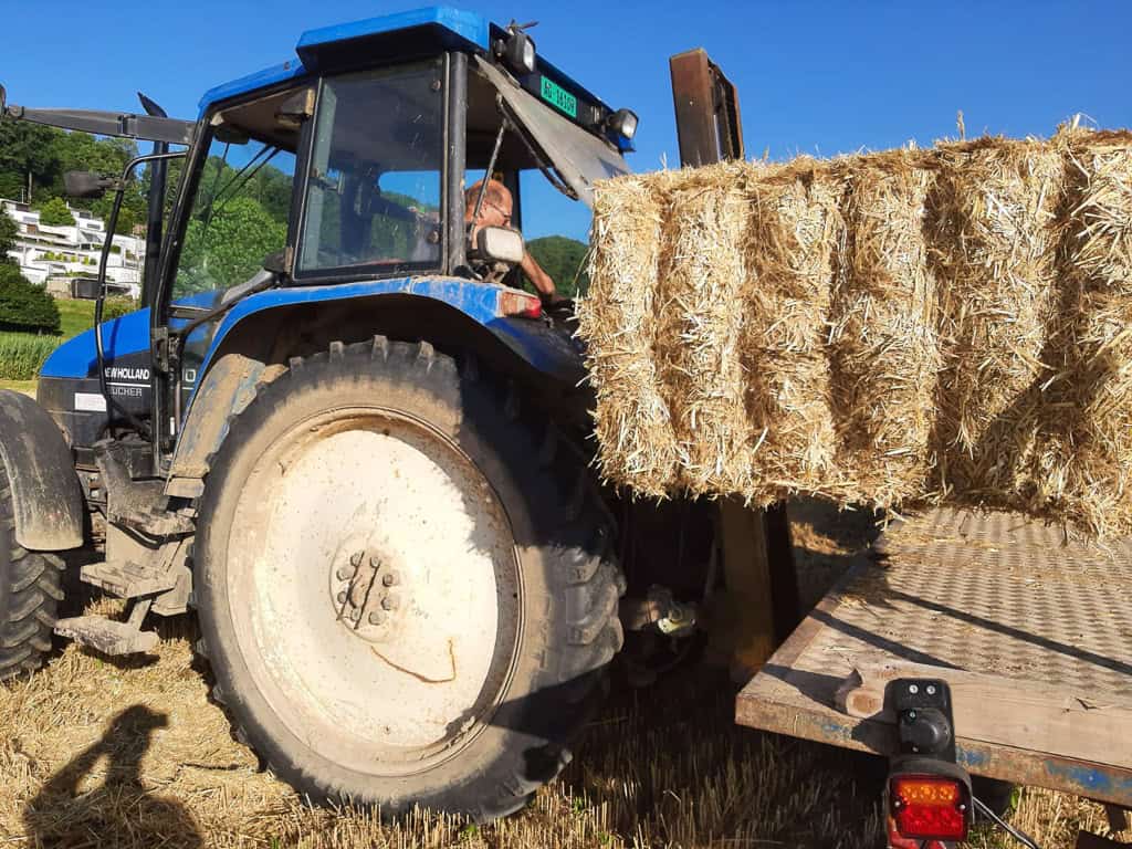 Abenteuer Pilzexperiment Geschenk Kinder Pilzeselberzuechten 277