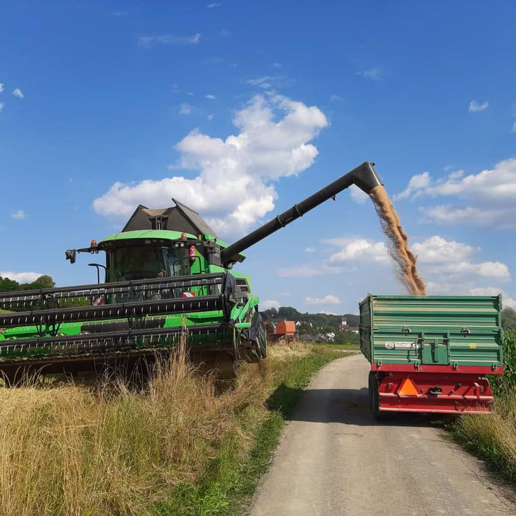 Abenteuer Pilzexperiment Geschenk Kinder Pilzeselberzuechten 279