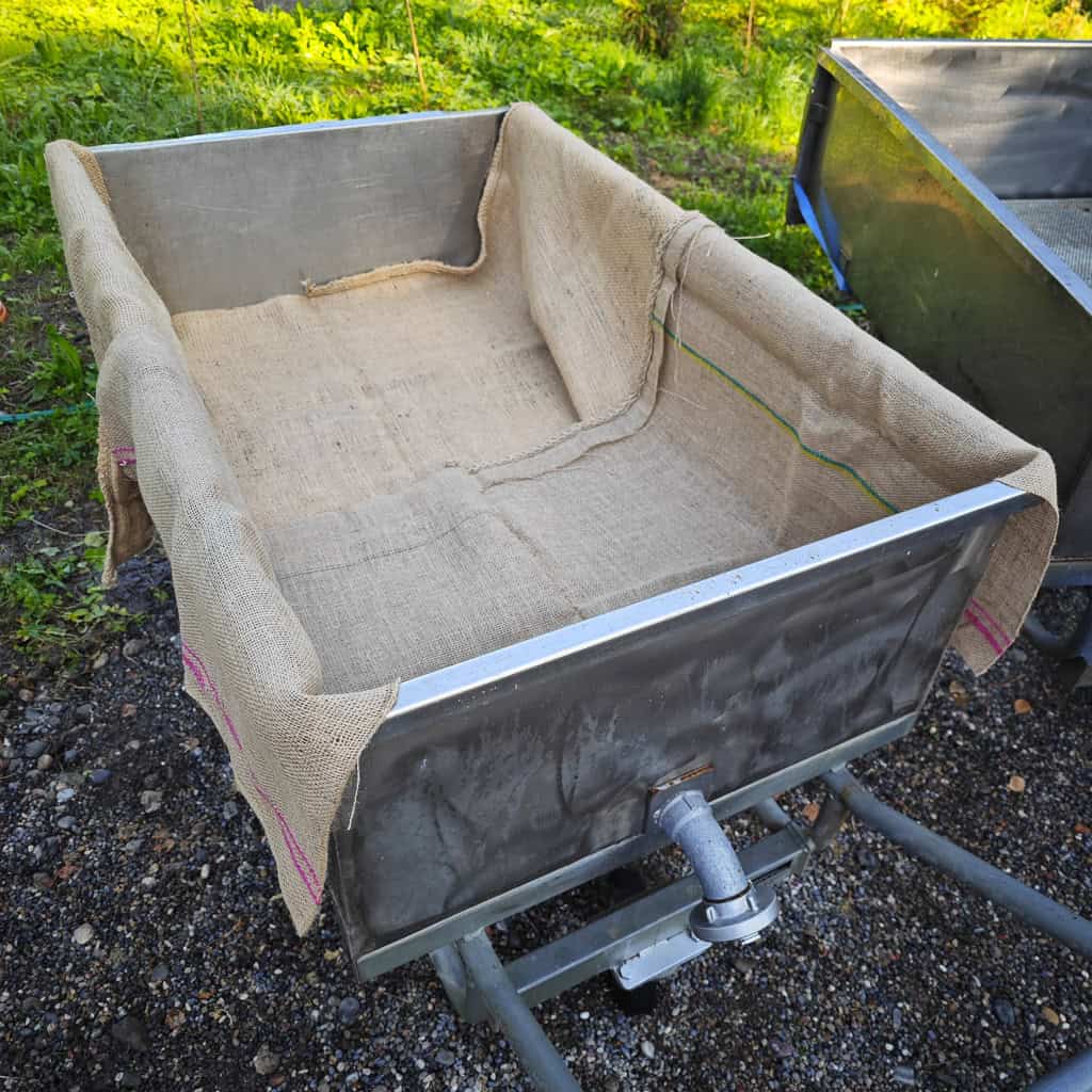 Abenteuer Pilzexperiment Geschenk Kinder Pilzeselberzuechten 281