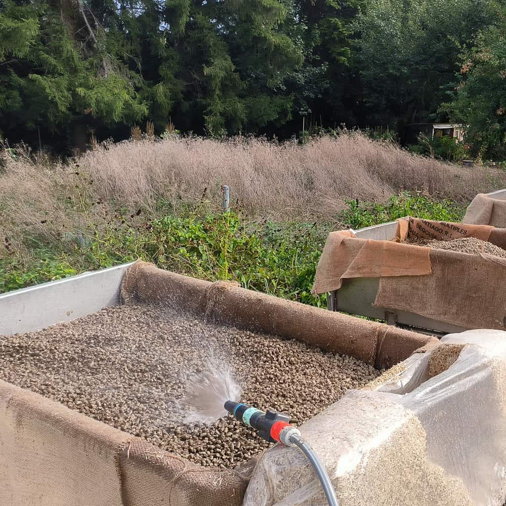Abenteuer Pilzexperiment Geschenk Kinder Pilzeselberzuechten 282