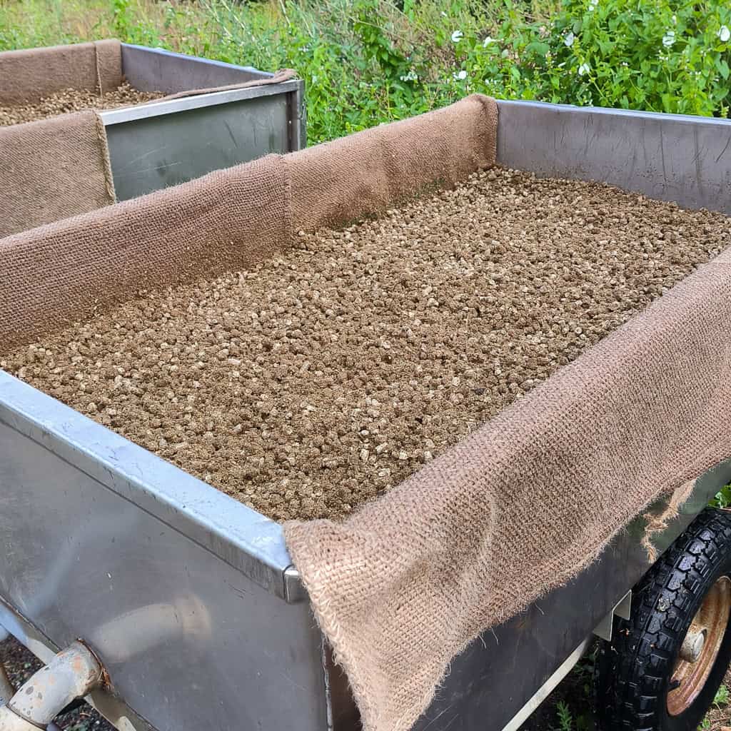 Abenteuer Pilzexperiment Geschenk Kinder Pilzeselberzuechten 284