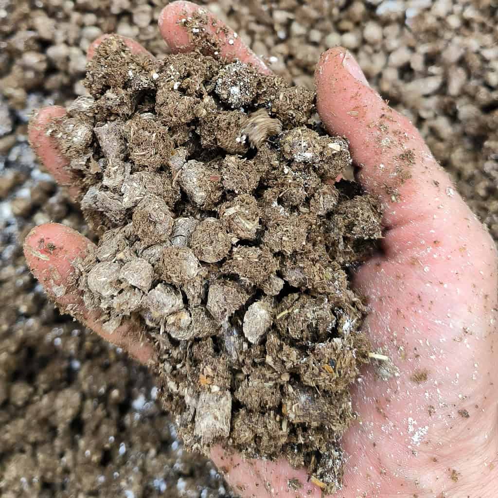 Abenteuer Pilzexperiment Geschenk Kinder Pilzeselberzuechten 285