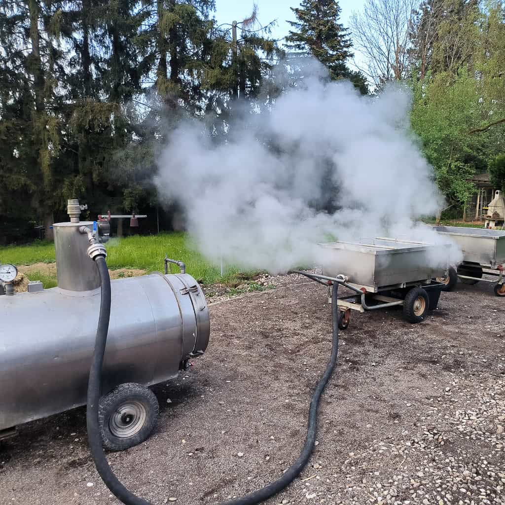 Abenteuer Pilzexperiment Geschenk Kinder Pilzeselberzuechten 287