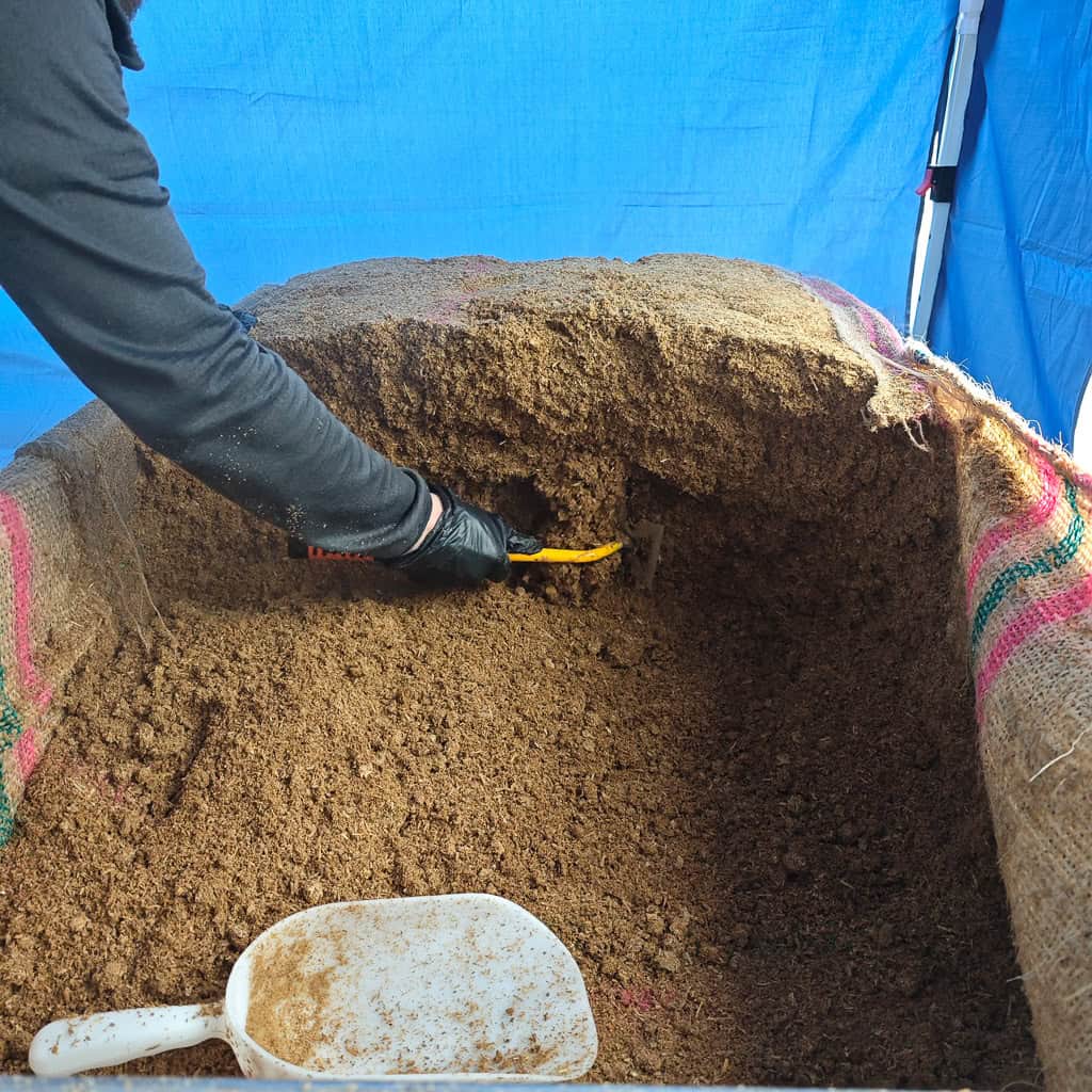 Abenteuer Pilzexperiment Geschenk Kinder Pilzeselberzuechten 288