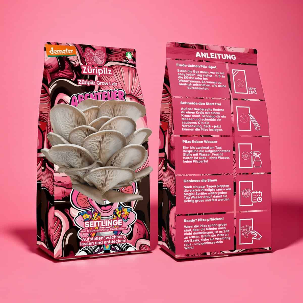 Abenteuer Pilzbox + Kurs mit Pilz Charakter Luma