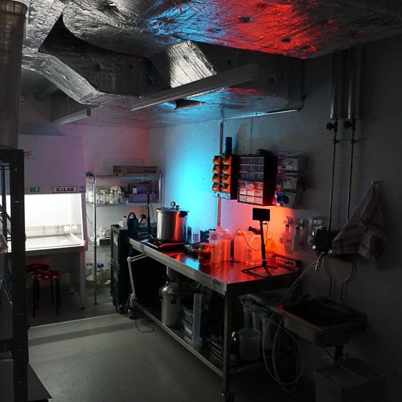 Neonbeleuchtetes Kellerlabor K-Lab im Zentrum von Zürich