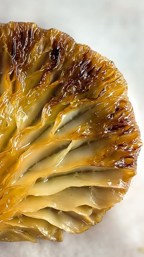 Austernseitlinge zubereiten – bräunende Lamellen in der Pfanne beim scharfen Anbraten