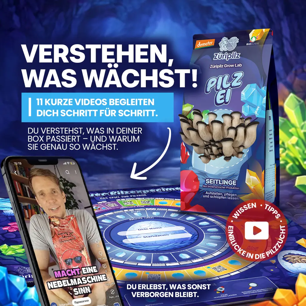 Video-Tutorials von Züripilz zur Pilzzucht und Pflege der Pilzbox