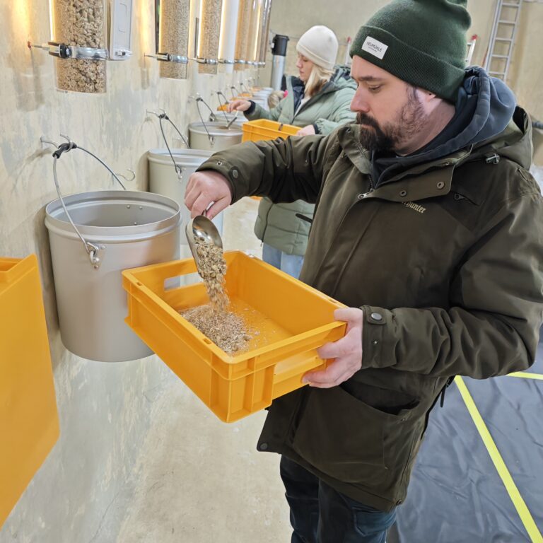 Teilnehmer bei einem Pilz-Workshop von Züripilz in Zürich